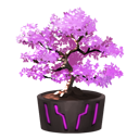 Purple Bonsai Cherry Blossom Tree