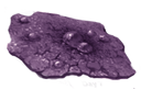 Purple Space Pox Sample