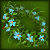 Jugg/Spring Flower Garland