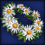 Jugg/Enchanter's Floral Diadem