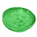 Green Bacterial Sample