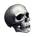 Grey Skull