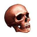 Brown Skull