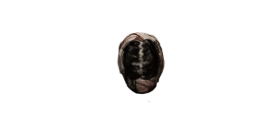 Embalmed Head