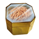 Cerebral Brain Box