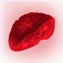 Red Brain Slice