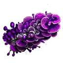 Purple Exofungus