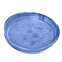 Blue Bacterial Sample